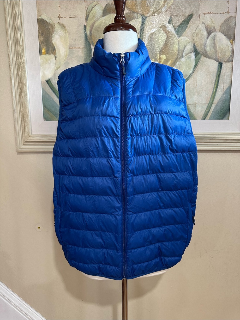 Hawke & Co Vest Men’s Large Blue Down Puffer Full Zip Pockets Outdoor